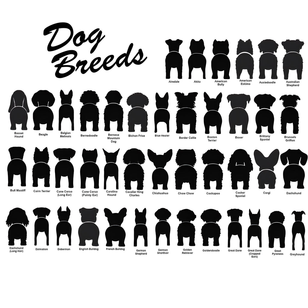 Personalized Dog Leash Holder Wall Hook With Custom Pet Name Funny Puppy Tail Hanger For Dog Lovers Cute Colorful Dog leash holder for wall