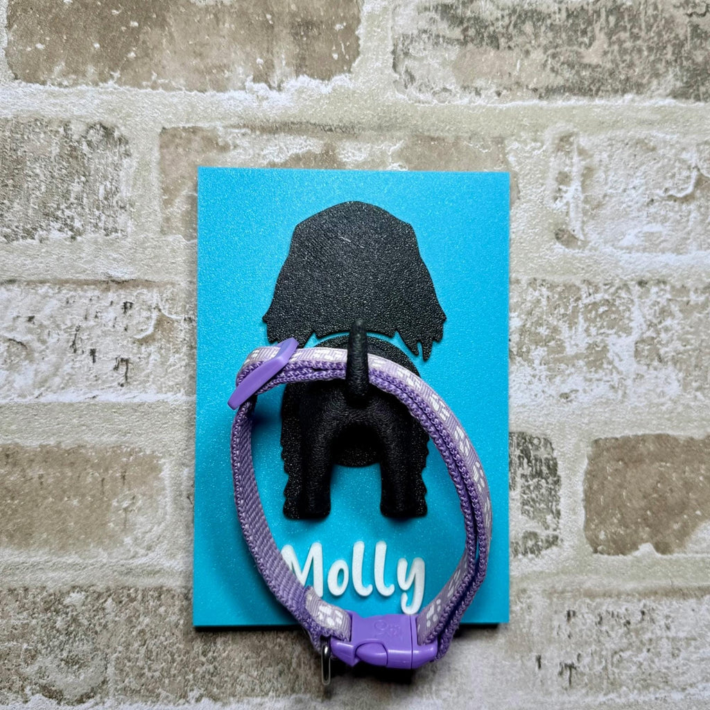 Personalized Dog Leash Holder Wall Hook With Custom Pet Name Funny Puppy Tail Hanger For Dog Lovers Cute Colorful Dog leash holder for wall